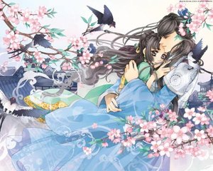某柠檬官网